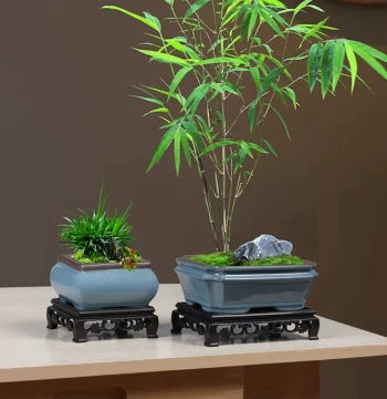 Small Bonsai Ge Kiln Breathable Flower Pot, Desktop Ceramic Small Leaf Syzygium Bullockii or Asparagus Fern Purple Clay Pot, Creative Phalaenopsis Green Plant Pot