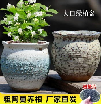 Creative Succulent Flower Pot, Ceramic Large Clay Pot for Home Balcony Living Room, Wide Mouth Planter for Pothos, Orchids, and Green Plants