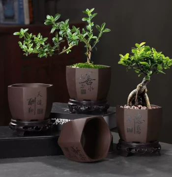 Zisha Flower Pot with Base Tray Bonsai Pot for Orchids Asparagus Fern Small Banyan Green Plants Succulents Ceramic Pot Planter