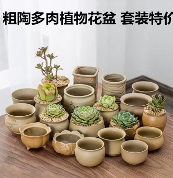 Coarse Pottery Raw Clay Fired Succulent Ceramic Flower Pot Minimalist New Style Potted Green Plant Thumb Set Combination Unglazed