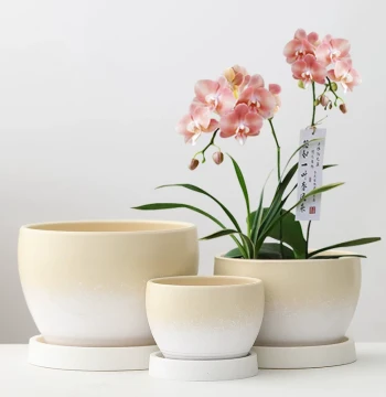 Ceramic Flower Pot Home Tulip Soil Cultivation Pothos Phalaenopsis Succulent Pot Large Large Diameter Special Clearance with Saucer