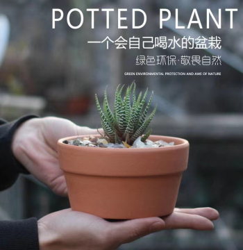 Clearance Red Clay Flower Pot, Terracotta Pot, Coarse Pottery Breathable Large Diameter for Succulents, Ceramic Green Plants, Orchid Pot, Special Price with Free Shipping
