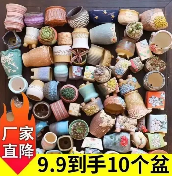 Succulent Flower Pot, Coarse Pottery Breathable Large Ceramic Retro Plant Set Combination Creative Special Clearance with Tray Desktop