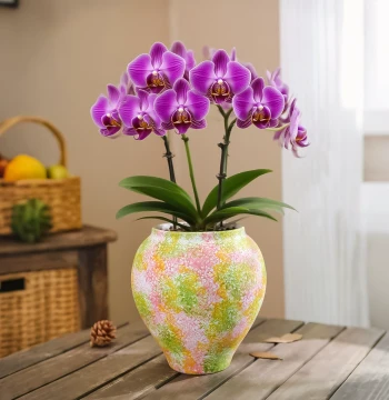 Ceramic Flower Pot Hand-Painted Luxury High-End Feel Home Desktop Bougainvillea Phalaenopsis Orchid Special Vase Decorative Ornament
