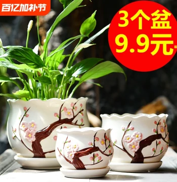 Large Ceramic Flower Pot Clearance: Creative Home Planter with Saucer for Pothos, Spider Plants, and Succulents