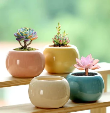 Special Offer Succulent Flower Pots, Cartoon Shaped Minimalist Ceramic Ice-Crack Small Balls, Cute Home Desktop Decorative Planters