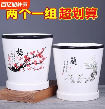 Extra Large Ceramic Flower Pot Clearance with Saucer, Unique Special Price Home Hanging Pothos Succulent Planter for Desktop