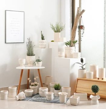 Cream Style Ceramic Bisque White Clay Flower Pot, Breathable and Water-Absorbent, Home Use Gallon Size for Green Plants, Succulents, Orchids with Tray