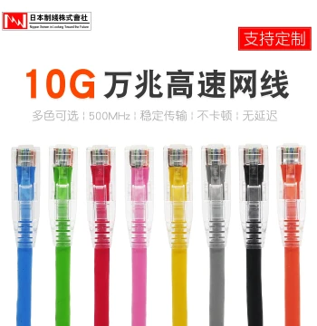 Rixian CAT6a Super Category 6 Network Cable High-Speed 10G Home Computer Broadband Connection Pure Copper Finished Twisted Pair