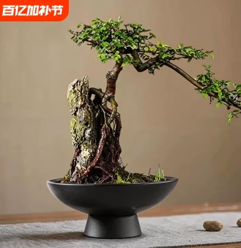 Moss Ball Tray Hydroponic Vessel: Ceramic Pot, Chinese Style Desktop Ornament, Rice Bamboo Pot Stand, High-Foot Extra Large Size