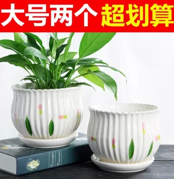Ceramic Flower Pot Special Clearance with Tray Extra Large Creative Pothos Spider Plant Desktop Minimalist Succulent Bonsai Wholesale