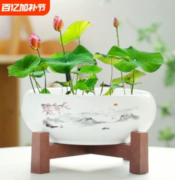 Narcissus Flower Pot Ceramic Coin Grass Hydroponic Water Lily Bowl Lotus Money Grass Special Pot Jar No Hole Large Lotus Plant