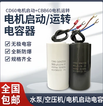 Motor Capacitor 220V for Water Pump Start and Run, 100/200/300/400/450V CD60 Series High Quality