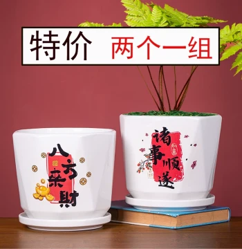 Chinese Style Ceramic Octagonal Flower Pot, Large Size with Tray, Creative Text Decoration, Breathable Planter for Indoor Plants