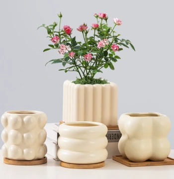 Ceramic Flower Pots for Home Phalaenopsis Orchid Special Nordic Minimalist Ins Style Cream Style Succulent Green Plant Pot Clearance