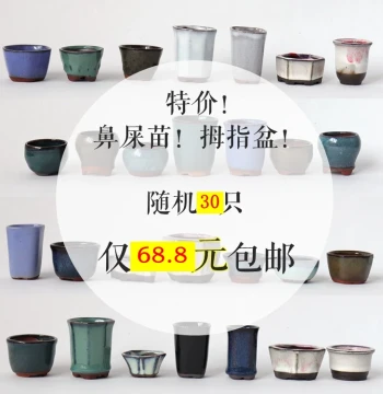 Coarse Pottery Semi-Glazed Minimalist Micro Flower Pot, Thumb-Sized Cute Bean Pot