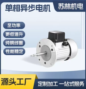 Long Shaft Phase Capacitor Run Motor 90W Custom YY5612 Motor 2-Pole 4-Pole Heat-Resistant Phase Motor