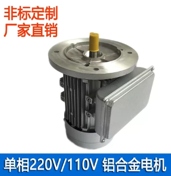 Aluminum Alloy Motor Factory Single-Phase 220V Aluminum Housing Horse YL/ML Dual Capacitor Start Motor Single-Phase 110V Non-Standard
