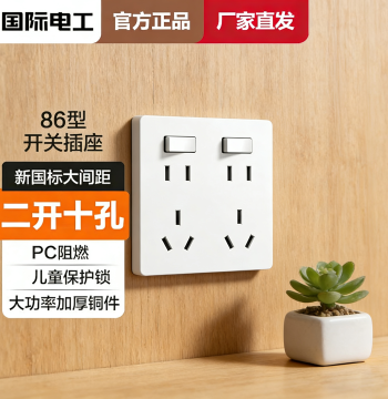 2-Gang 10-Hole Socket Panel Type 86 with Switch for 2-Pin and 3-Plugs