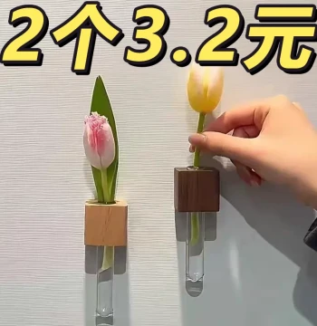 High-Aesthetic Refrigerator Magnet Vase for Flower Arranging, Test Tube Holder, Magnetic Kitchen Decor for New Homes
