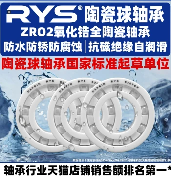 RYS Zirconia Oxide Full Ceramic Bearings 6000 6001 6002 6003 6004 6005 CE 2RS