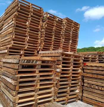 Plastic Pallet Forklift Board Cargo Pad Moisture-Proof Warehouse Board Skid Pallet Rack Logistics Three-Beam Grid