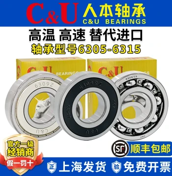 Renben Bearings 6306 6307 High-Speed 6308 6309 High-Temp 6305 6311 6312 TD 6313 6314 ETK