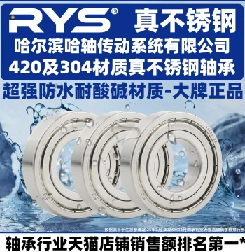 RYS Stainless Steel Bearings 6000 6001 6002 6003 6004 6005 ZZ 440 304 Material