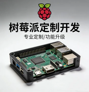 Raspberry Pi Project Design Service MCU Design Custom Physical Implementation Smart Home Vision Car Recognition
