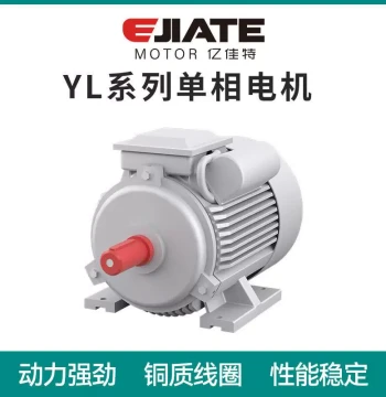 Factory Direct 0.55KW Single-Phase Motor Capacitor Start Induction Motor 110V