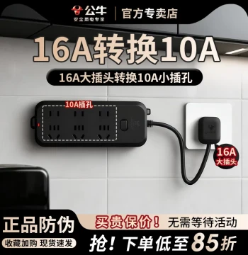 16A to 10A Adapter Plug Converts Large Socket to Small