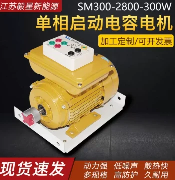 Single-Phase Start Capacitor Motor 220V Single-Phase Resistor Start Teaching Motor DC Brushless Micro AC Motor