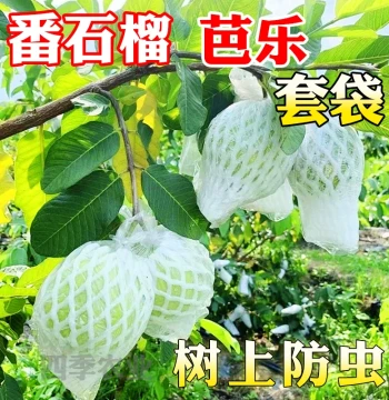 Guava Bag Net Bag Specialized Guava Fruit Bag Insect Protection Fruit Cover Bag Pomegranate Bag Net Sleeve