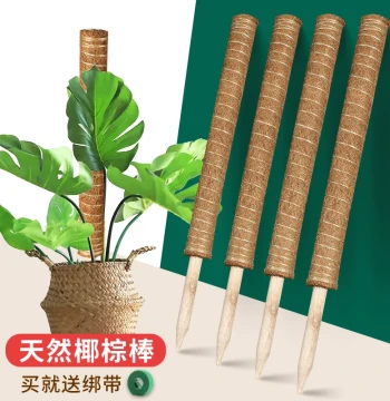 Monstera Support Pole Pothos Climbing Column Coconut Coir Stick Pothos Fixation Plant Vine Palm Column Anti-Lodging Bracket