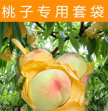 Peach-Specific Fruit Bags for Oil Peaches, Hairy Peaches, and Yellow Peaches; Breathable Fruit Protection Bags for Pest Control