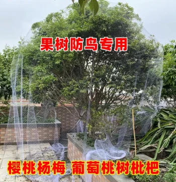 Jiabao Cherry Fruit Tree Bird-Proof Net Nylon Net, Loquat Peach Tree Grape Orchard Specialized Bird-Proof Net, Anti-Aging and Durable