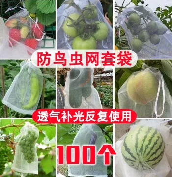 Fruit Bagging Strawberry Insect Protection Bag Anti-Bird Mesh Bag Special Bag for Grape Pomegranate Persimmon Watermelon Fig