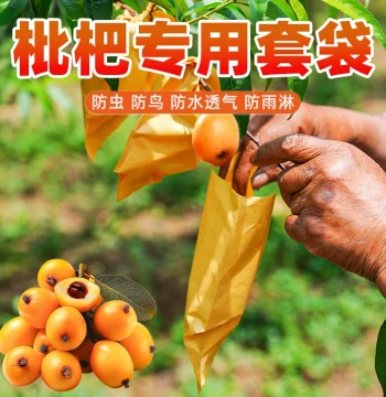 Specialized Loquat Fruit Bags for Pest Control, Kraft Paper Bags for Trees, Bird-Proof Fruit Bags, Single-Layer White Fruit Protection Bags