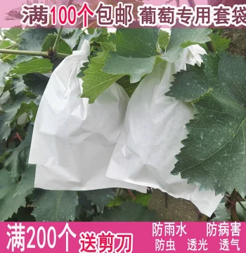 Grape Bag Insect-Proof Bag, Open-Air Grape Fruit Bag, Specialized Fruit Bag, Waterproof Bag, Grape Paper Bag for Fruit Cultivation