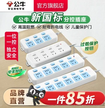 Power Strip with Independent Switches