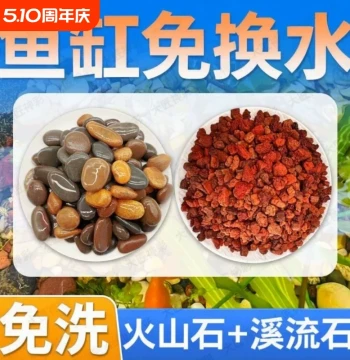 Volcanic Rock Stream Stones for Fish Tank Decoration Landscaping Bottom Traditional Fish Farming Ecological Full Set Ornaments Turtle Special Hydroponics