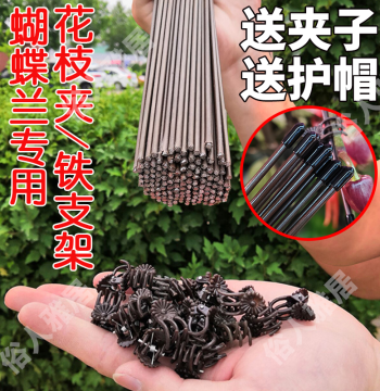 Phalaenopsis Orchid Support Stake Shaping Frame Gardening Flower Branch Clip Vine Climbing Plant Fixing Clip