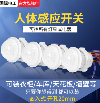 Infrared PIR Sensor Switch 220V Compact Recessed Probe for Hallways Smart Light-Control Delay Module
