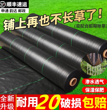 Wholesale Durable Landscape Fabric Staples for Weed Control Cloth - New Ground Cover with Holes for Fruit Trees, Direct from Manufacturer for Garden and Farm Use