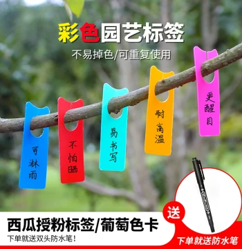 Watermelon Pollination Tag, Grape Fruit Protection Label, Plant Flower Fruit ID Card, Colorful Hanging Tag with Ring Clip