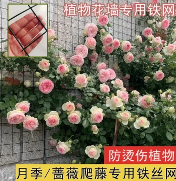 Specialized Wire Mesh Trellis for Climbing Roses, Rose Plant Wall-Fixing Flower Wall Rack, Grid Wall-Mounted Climbing Frame