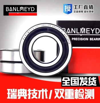 Sweden BMD Imported Stainless Steel Bearings S6200 6201 6202 6203 6204 6205 6206 RS
