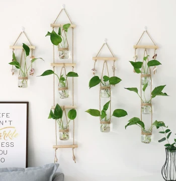 Ins-Style Creative Hydroponic Wall-Mounted Glass Vase - Minimalist Greenery Decoration for Pothos and Small Hanging Plants