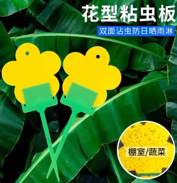 Yellow Board Double-Sided Sticky Insect Trap Small Black Fly Trap Small Flying Insects Fruit Flies Green Plants Yellow Flower-Shaped Lure Trap Small Yellow Board