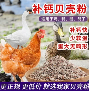 High-Calcium Shell Powder Feed for Chickens, Ducks, Geese, Birds, Pigeons, Quails; Calcium Absorption Promoting Premix Additive for Poultry Farming